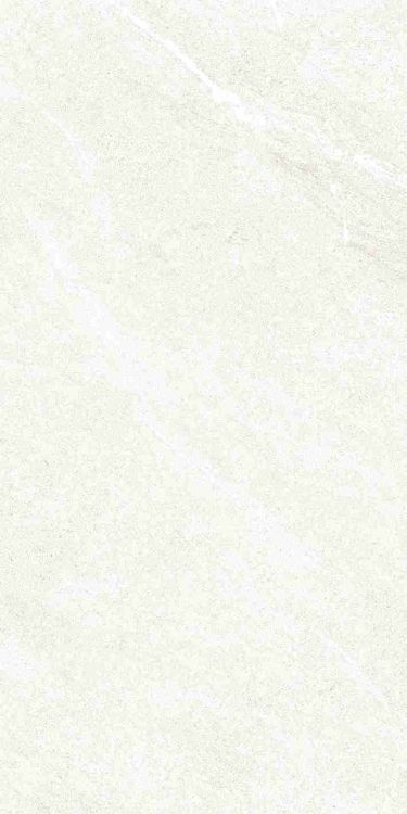 Dhara White Matte 12 x 24